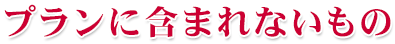 プランに含まれないもの