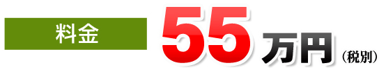 料金55万円税別